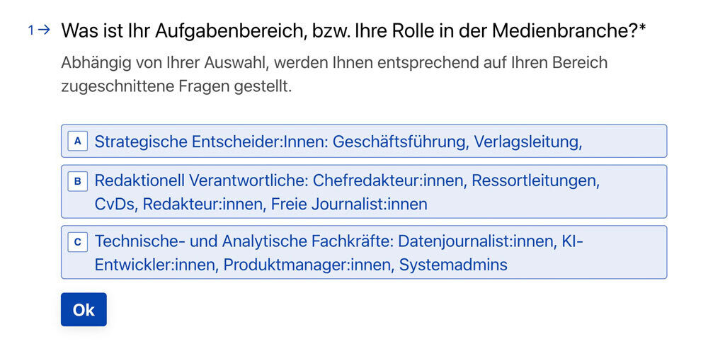 Die Befragung zur Rolle zeigt die Diversität der möglichen Themen: von strategisch bis technisch.